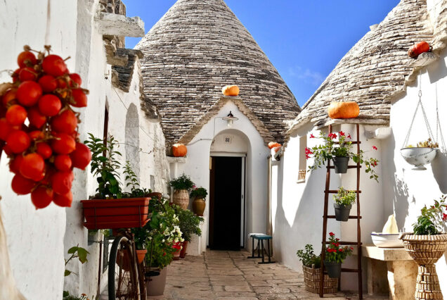 Agencija Slonček_Aulija v maju 2026